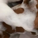 Baton Rouge Female Escorts