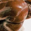 Desmoines Female Escorts