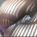 Charleston Female Escorts