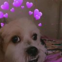 Winston Salem Female Escorts