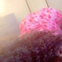 Beaumont Female Escorts