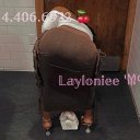 Madison Female Escorts