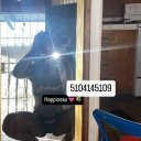 Oakland Female Escorts