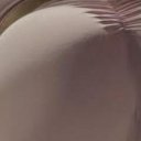 Madison Female Escorts