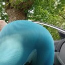 Springfield Female Escorts