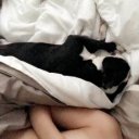 Sioux Falls Female Escorts