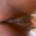 Springfield Female Escorts