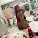 Dayton Female Escorts