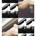 Albany Female Escorts