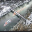 Wichita Falls Female Escorts