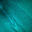 Ann Arbor Female Escorts