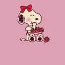 Manhattan Female Escorts