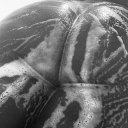 Greensboro Female Escorts