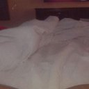 Memphis Female Escorts