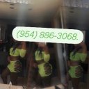 Jacksonville Female Escorts