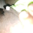 Atlanta Female Escorts