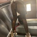 Colorado Springs Female Escorts