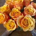 Phoenix Female Escorts