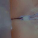 Hilton Head Female Escorts