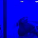 Manhattan Female Escorts