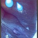 Florence Female Escorts