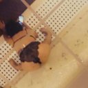 Scranton Female Escorts