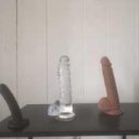 Denver Female Escorts