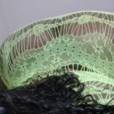 Cincinnati Female Escorts