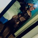 Eastern Female Escorts