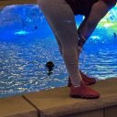 Toledo Female Escorts