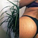 Annapolis Female Escorts