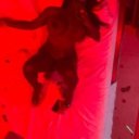 Omaha Female Escorts