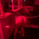 Orange County Female Escorts