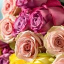 Stockton Female Escorts