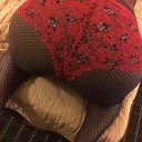 Chicago Female Escorts