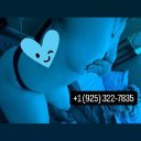 San Mateo Female Escorts