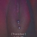 Charleston Female Escorts