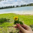 Honolulu Female Escorts