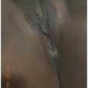 Myrtle Beach Female Escorts