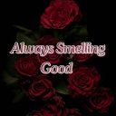 Wilmington Female Escorts