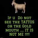 Raleigh-Durham Female Escorts