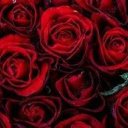 Oklahoma City Female Escorts