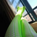 Detroit Female Escorts