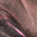 West Palm Beach Female Escorts