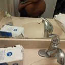 Raleigh Female Escorts