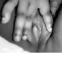 Greenville Female Escorts