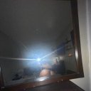 Buffalo Female Escorts