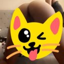 Albany Female Escorts