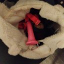 Rochester Female Escorts