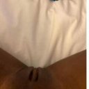 Columbus Female Escorts